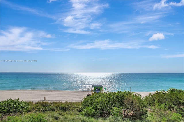 property view of water featuring a view of the beach