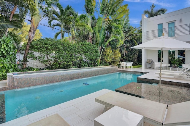 view of pool featuring a patio