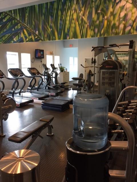 workout area featuring a wealth of natural light