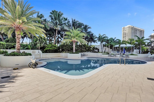 view of pool featuring a patio