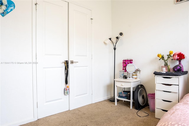 bedroom featuring a closet and carpet floors