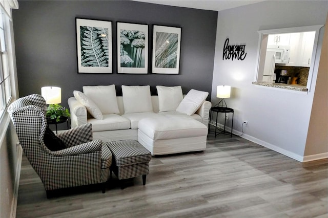 living room featuring hardwood / wood-style flooring