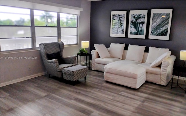 living room with hardwood / wood-style floors