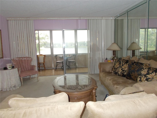 living room featuring a textured ceiling, lofted ceiling, crown molding, and hardwood / wood-style floors