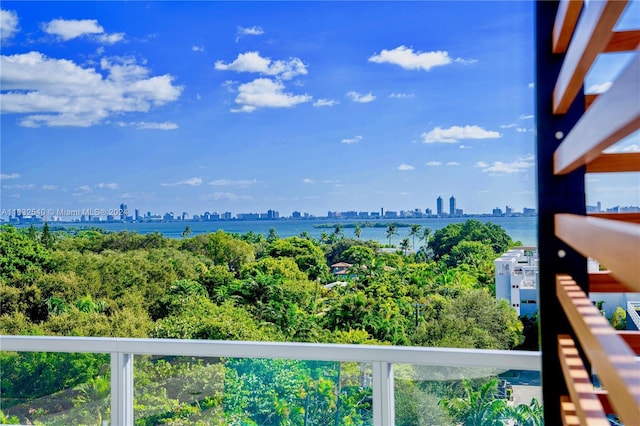 3900 Biscayne Blvd Unit N-917, Miami, FL 33137 - photo 19