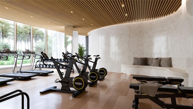 exercise room with hardwood / wood-style floors