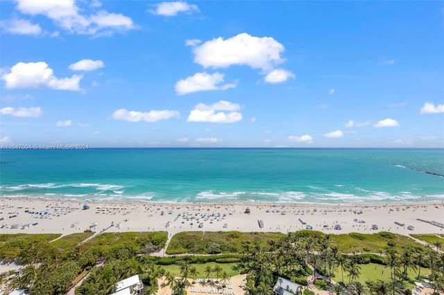 property view of water with a beach view