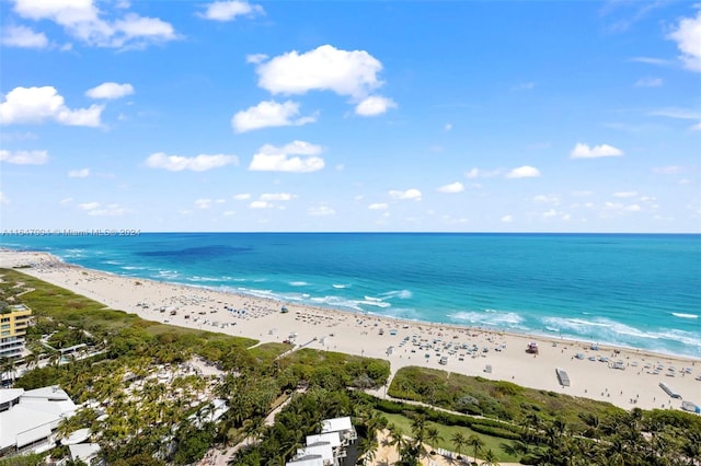 water view featuring a view of the beach