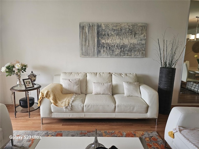 living room featuring dark hardwood / wood-style flooring