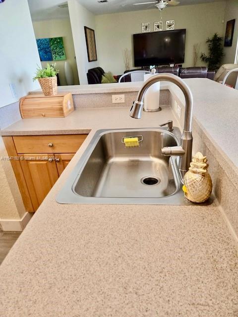 details featuring ceiling fan, wood-type flooring, and sink