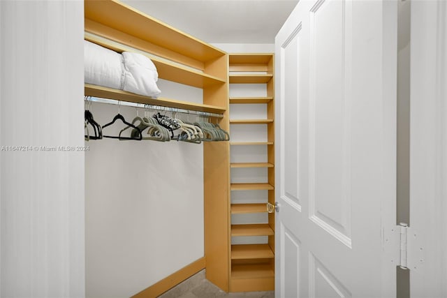 view of spacious closet