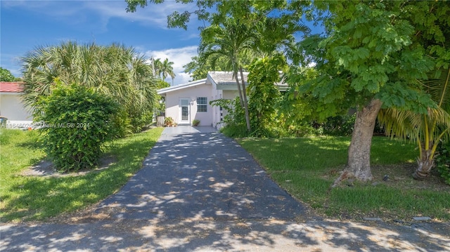 view of property hidden behind natural elements featuring a front lawn