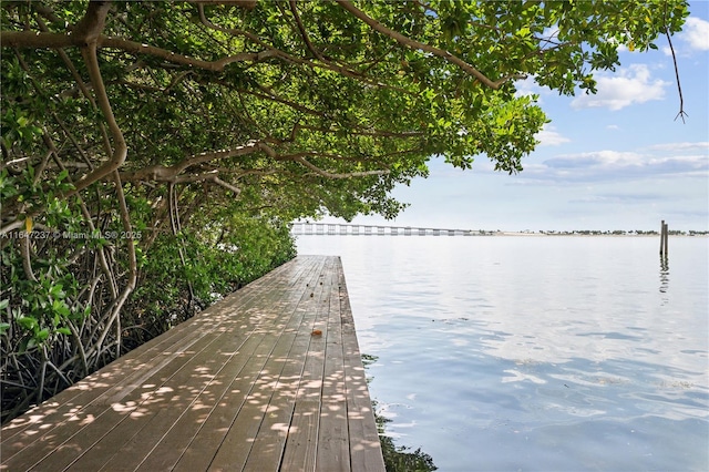 dock area featuring a water view