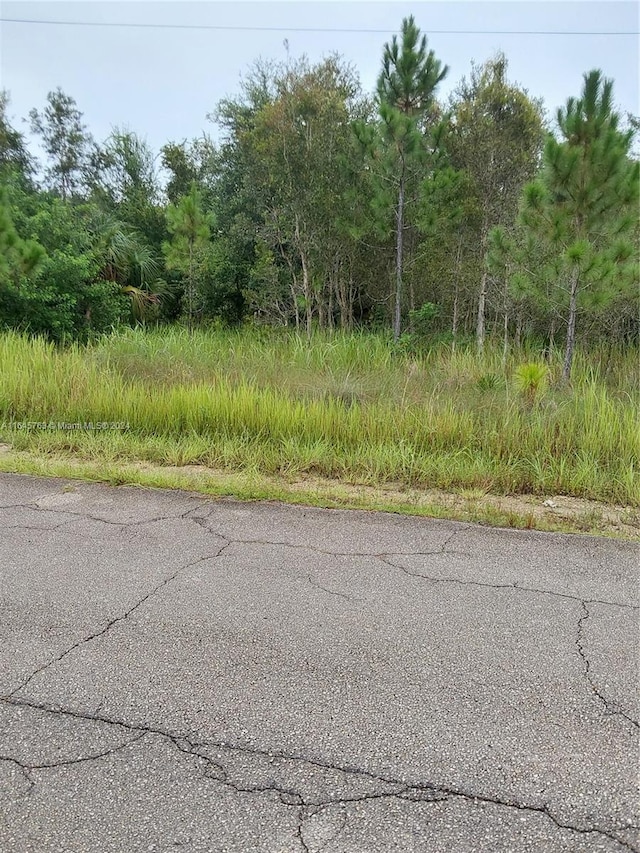 1002 Broadway, Lehigh Acres FL, 33972 land for sale