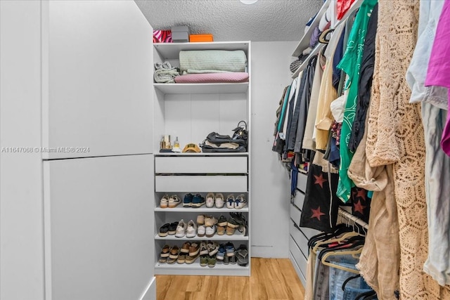 walk in closet with light hardwood / wood-style flooring