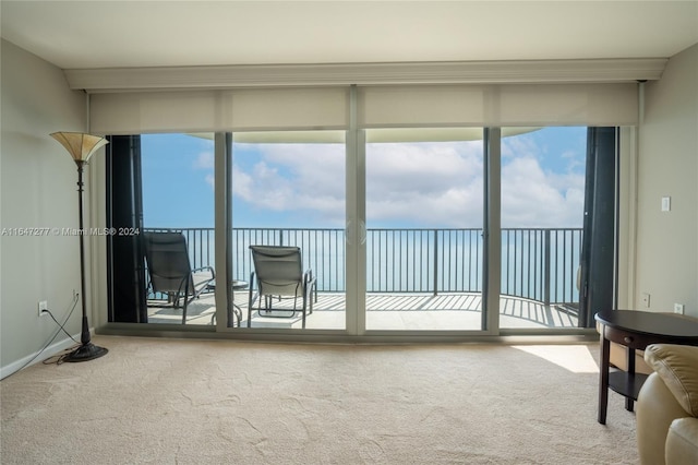 empty room with a wealth of natural light and carpet floors