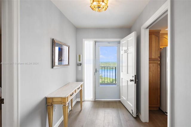 doorway featuring light wood-type flooring and a water view