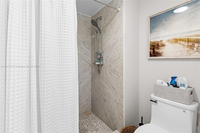 bathroom with toilet and a shower with shower curtain