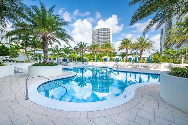 view of swimming pool with a patio