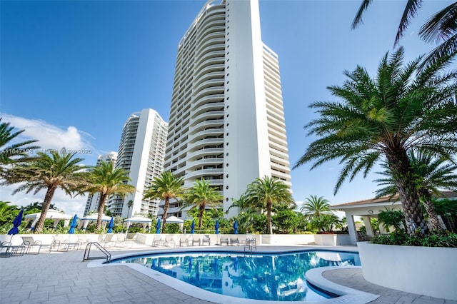 view of pool with a patio