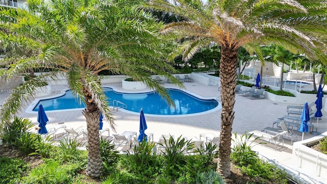 view of swimming pool with a patio area