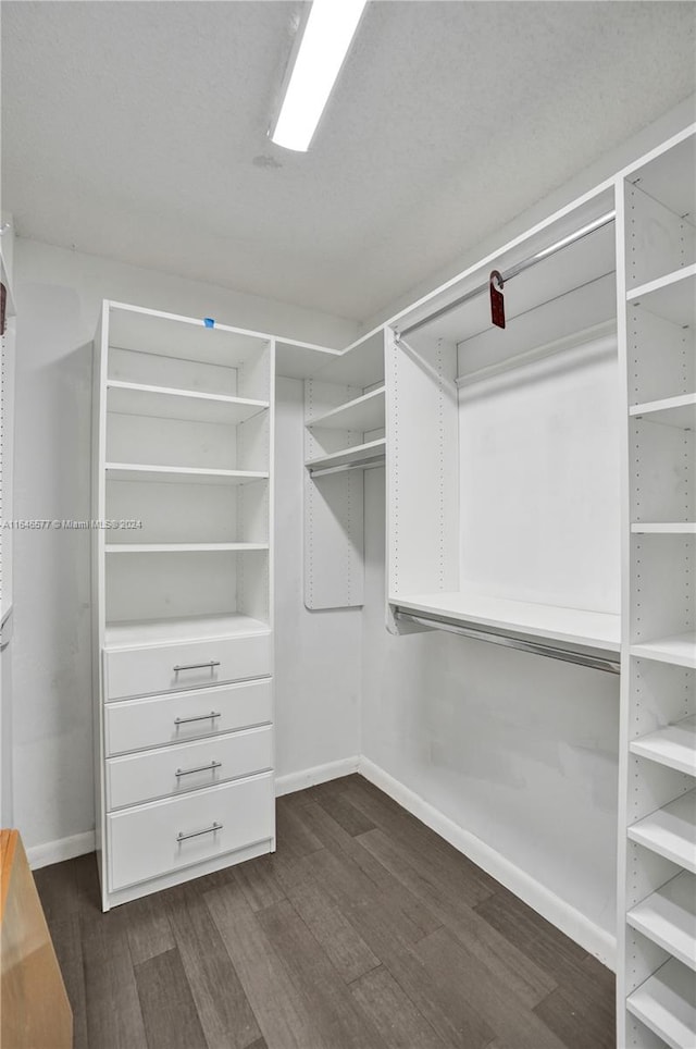 walk in closet with dark hardwood / wood-style flooring