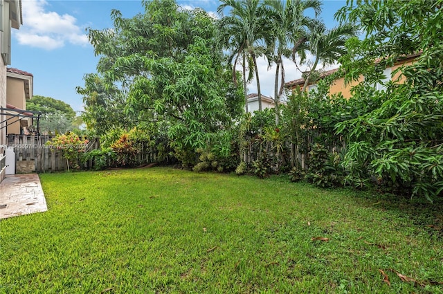 14107 SW 155th St, Miami, FL 33177 - view of yard