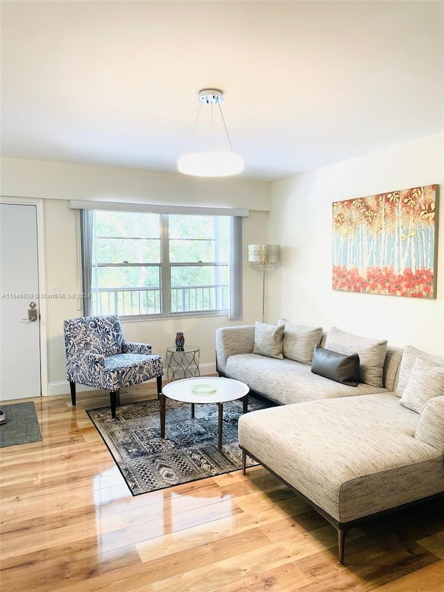 living room with hardwood / wood-style flooring