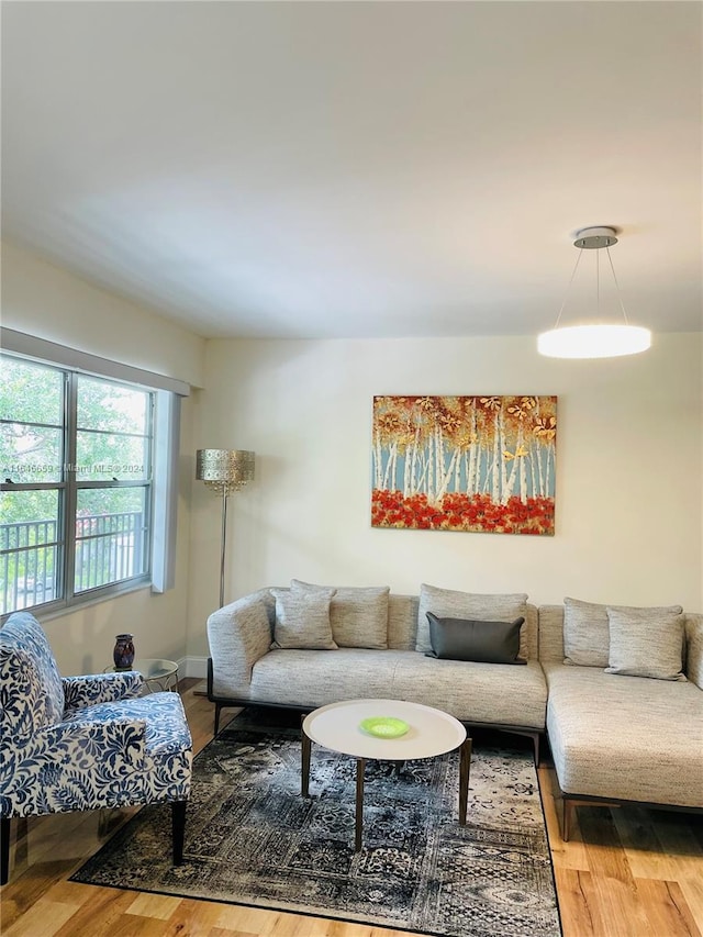 living room with wood-type flooring