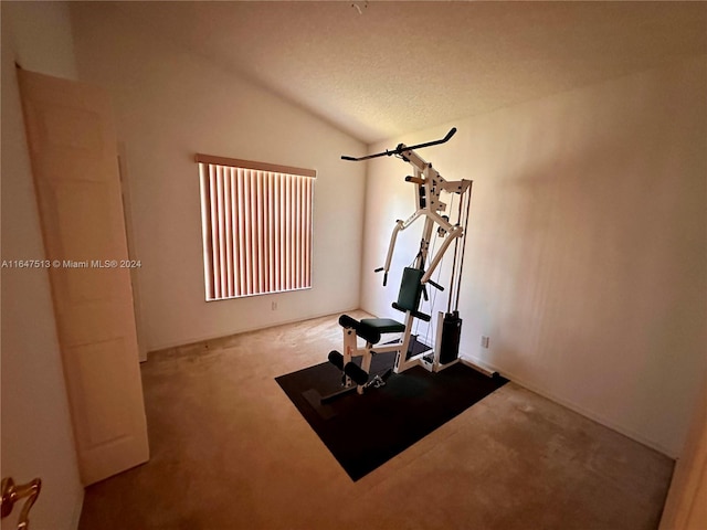 exercise area with vaulted ceiling, a textured ceiling, and carpet flooring