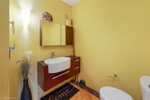 bathroom with toilet and vanity