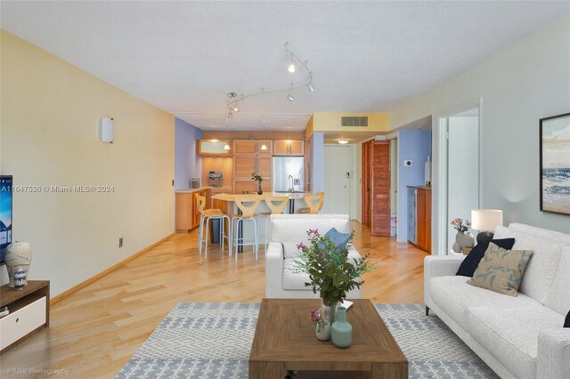 living room with light hardwood / wood-style flooring and track lighting