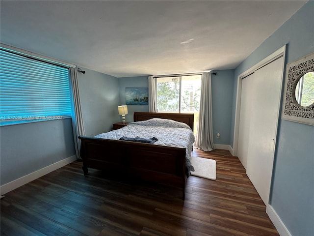 bedroom featuring hardwood / wood-style floors and a closet