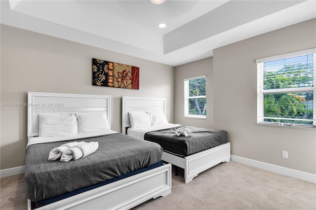 bedroom with multiple windows, carpet, and a tray ceiling