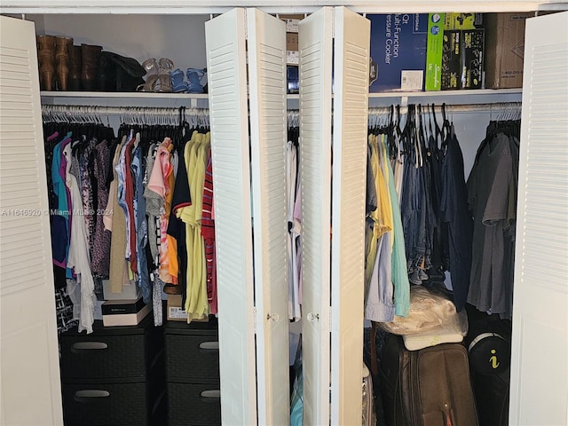 view of closet