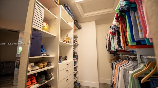 view of walk in closet