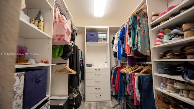 spacious closet with light hardwood / wood-style floors