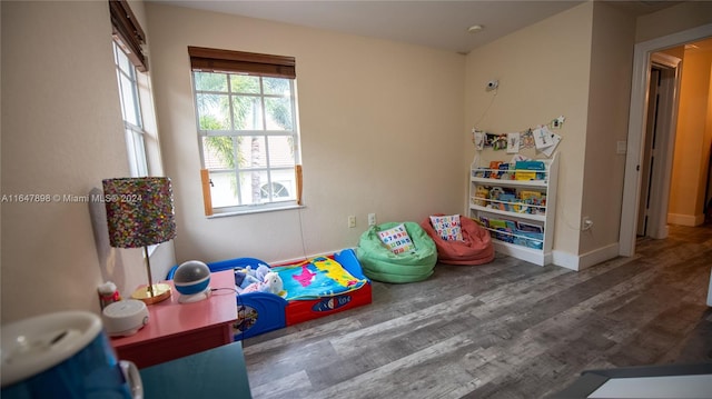 recreation room featuring hardwood / wood-style flooring