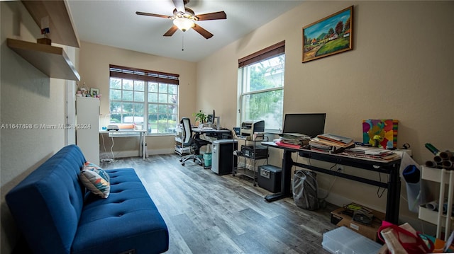 office space featuring a wealth of natural light, ceiling fan, and hardwood / wood-style floors