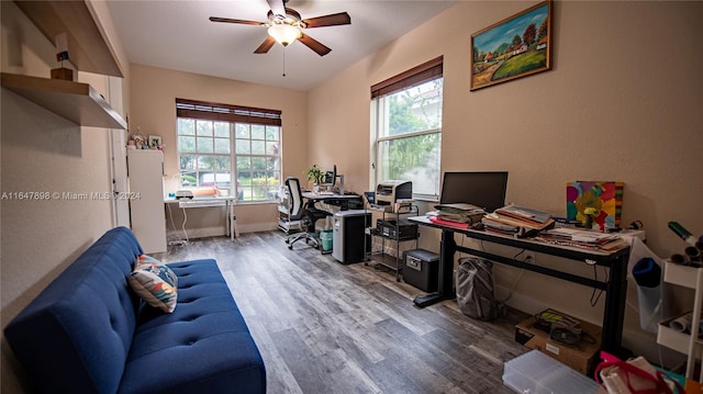 office space with ceiling fan and wood-type flooring