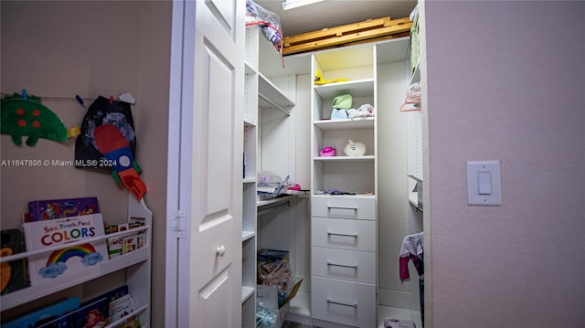 view of spacious closet