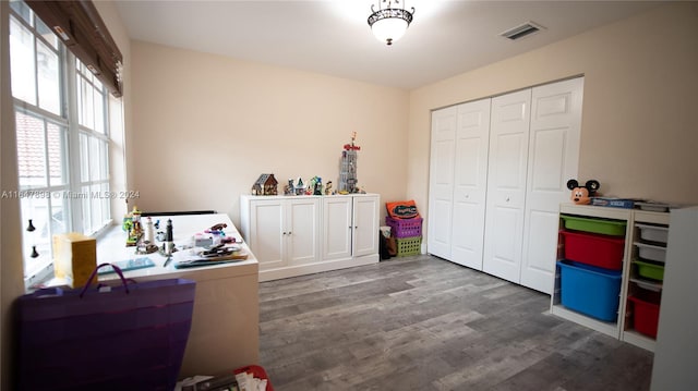 interior space with wood-type flooring