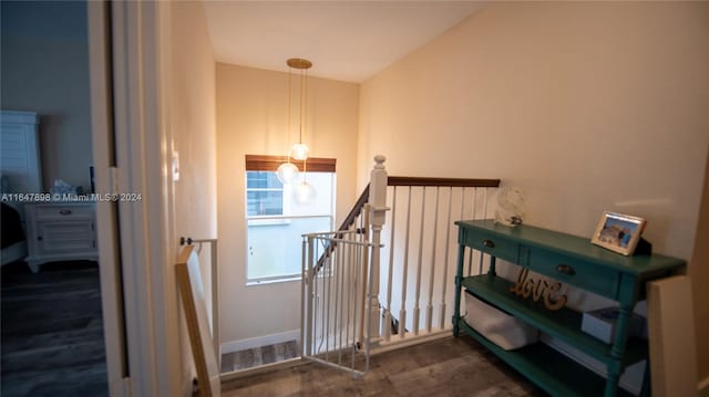 staircase with hardwood / wood-style flooring