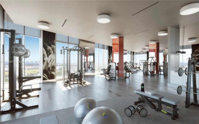 workout area with floor to ceiling windows and hardwood / wood-style flooring