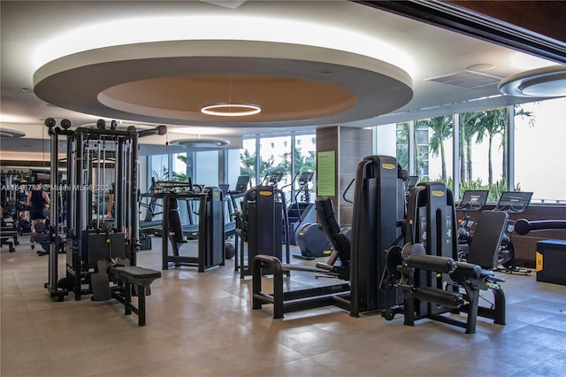 workout area featuring a tray ceiling and a wall of windows