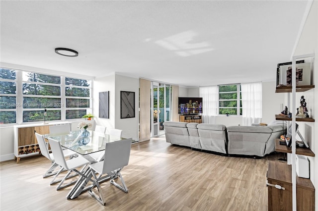 living room featuring light hardwood / wood-style floors