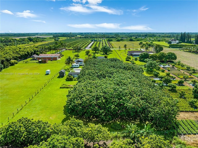 bird's eye view featuring a rural view