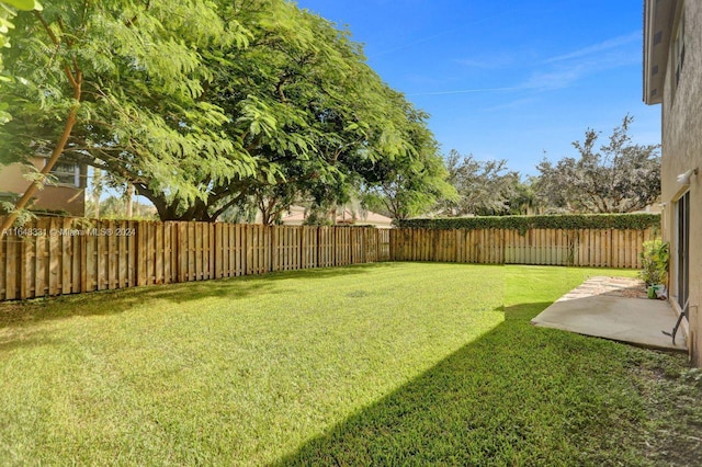 view of yard featuring a patio