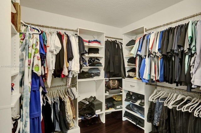 spacious closet featuring dark wood-type flooring