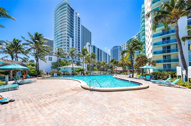 view of swimming pool with a patio